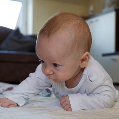 IMG 068